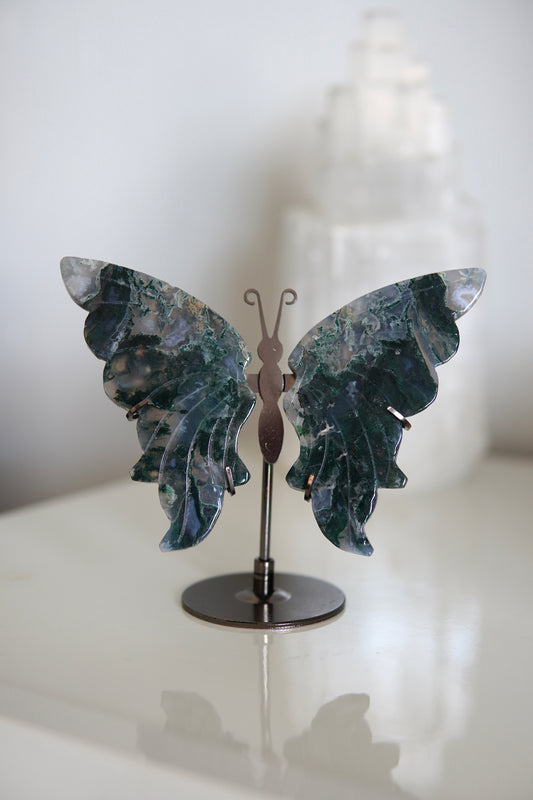 Schmetterling Schnitzerei