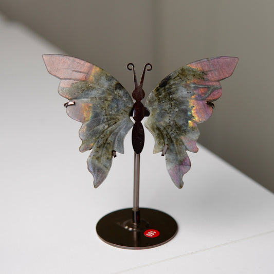 Schmetterling Labradorit