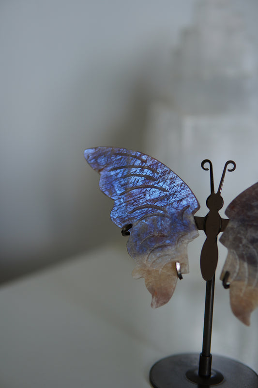 Schmetterling Mondstein