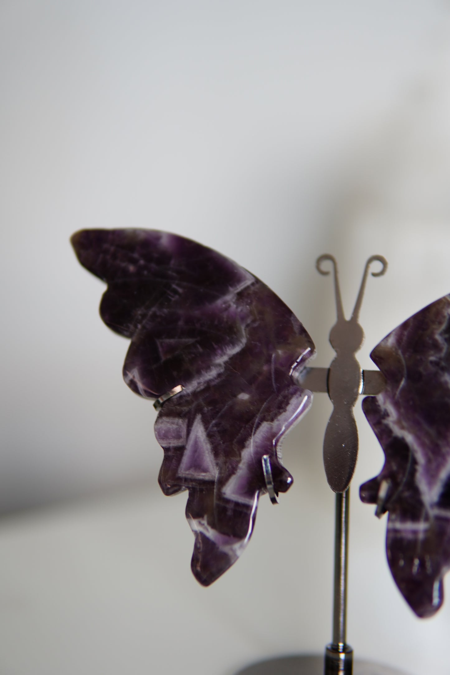 Schmetterling Schnitzerei