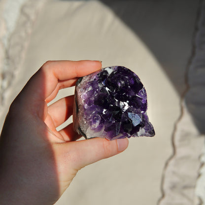 Jucy Amethyst Cluster - Uruguay