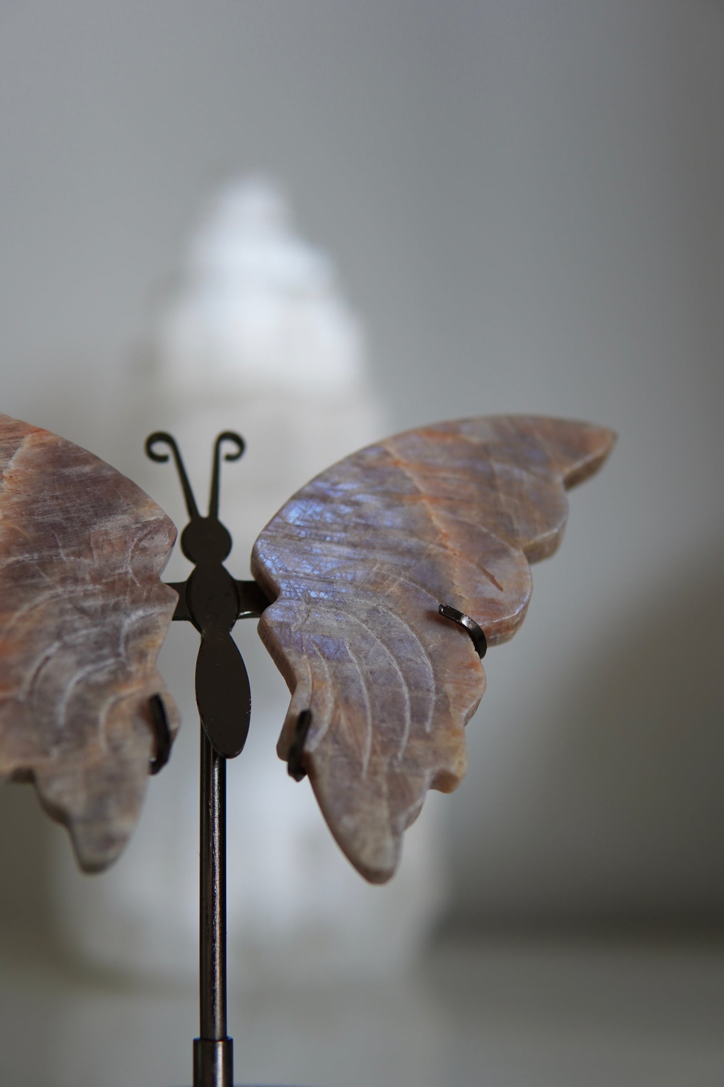Schmetterling Mondstein