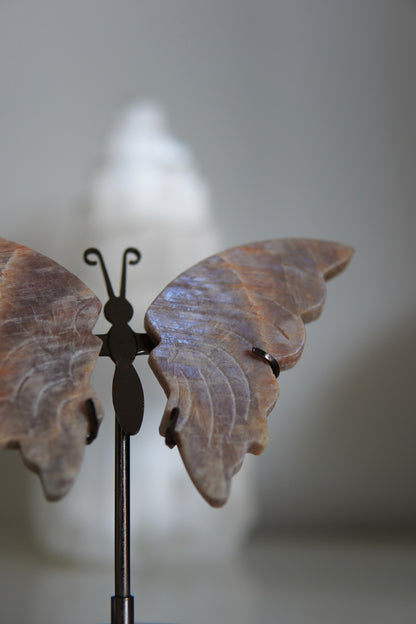 Schmetterling Mondstein