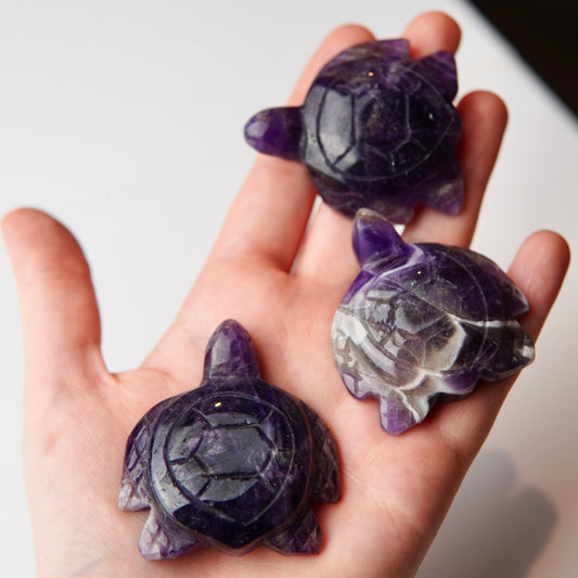 Schildkröten Dream-Amethyst