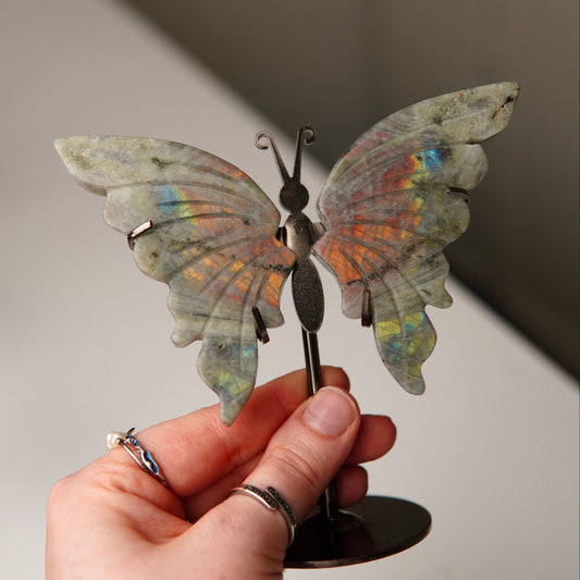 Schmetterling Labradorit