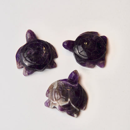 Schildkröten Dream-Amethyst