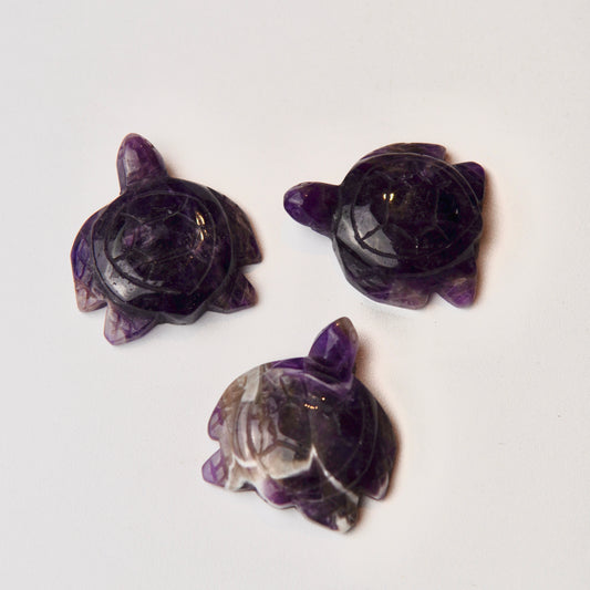 Schildkröten Dream-Amethyst