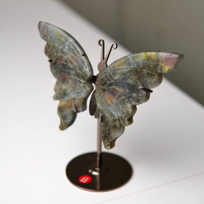 Schmetterling Labradorit