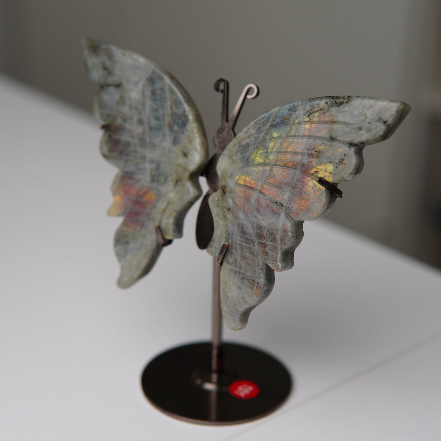 Schmetterling Labradorit