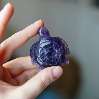 Schildkröten Dream-Amethyst