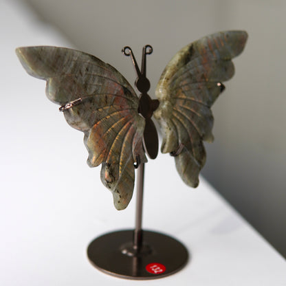 Schmetterling Labradorit