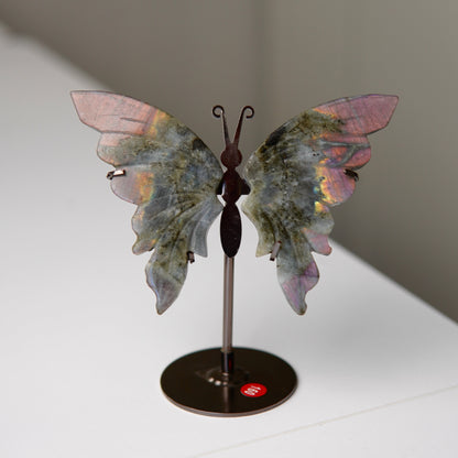 Schmetterling Labradorit