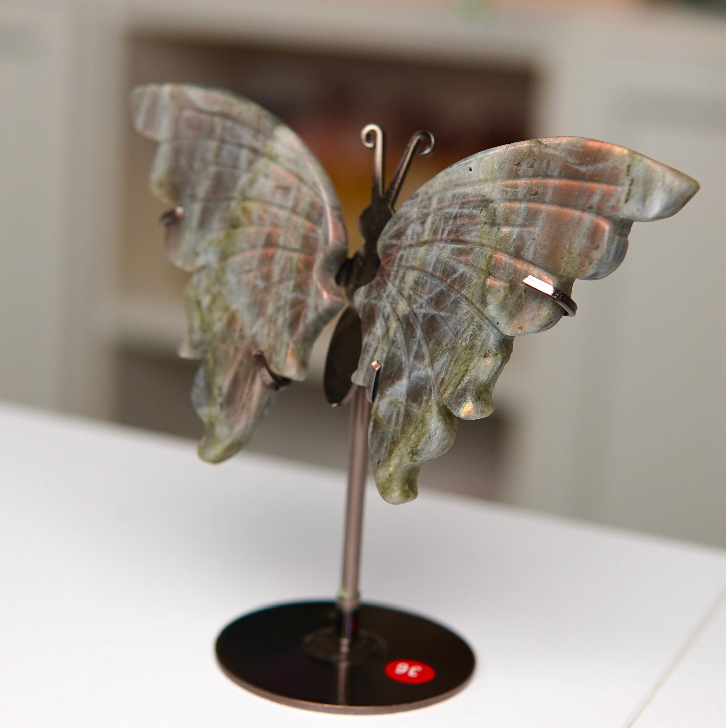 Schmetterling Labradorit