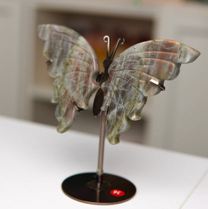 Schmetterling Labradorit