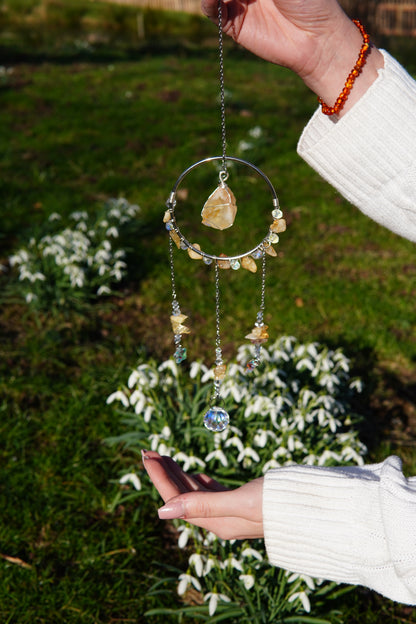 Kleiner Sonnenfänger