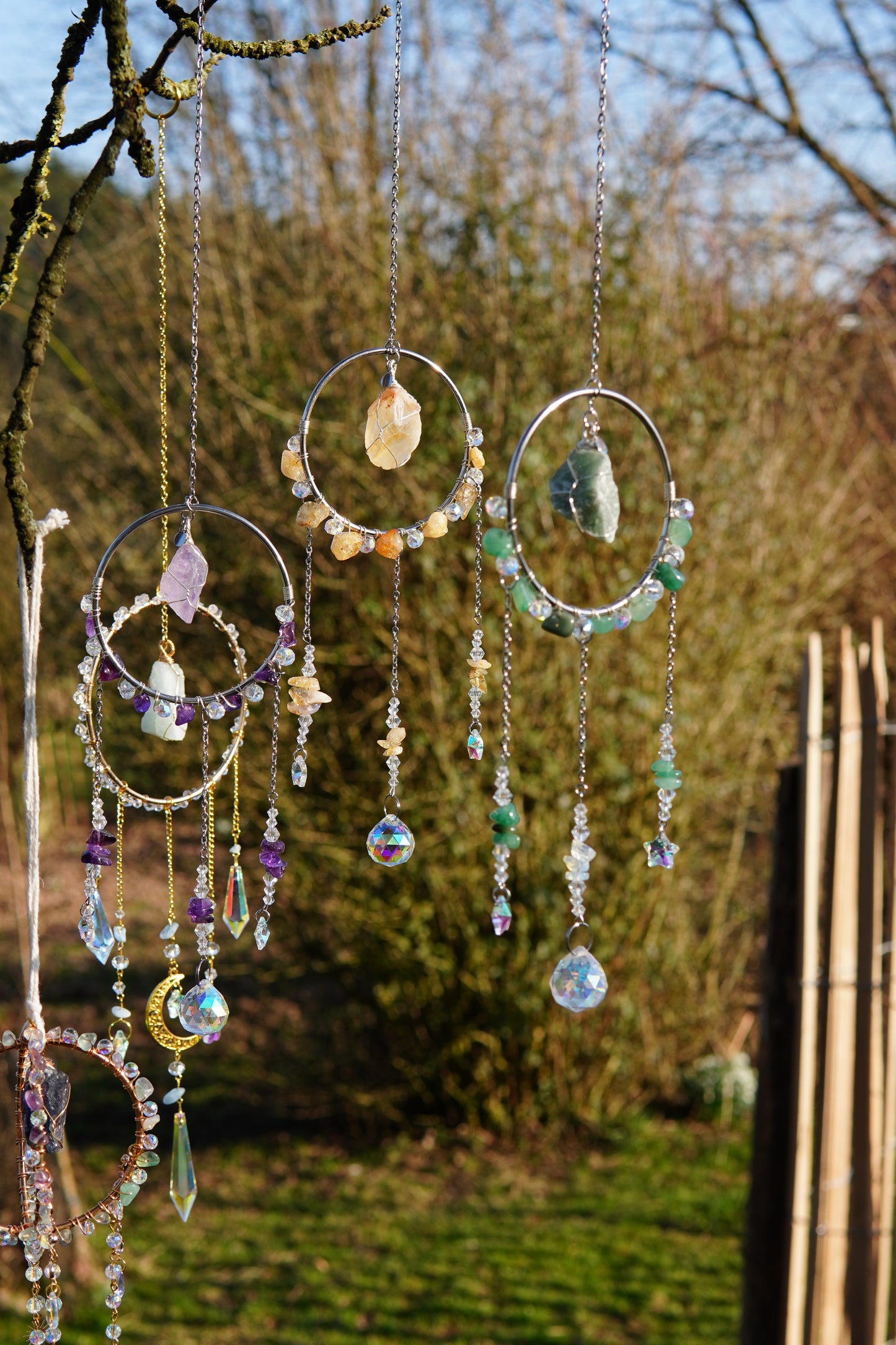 Kleiner Sonnenfänger