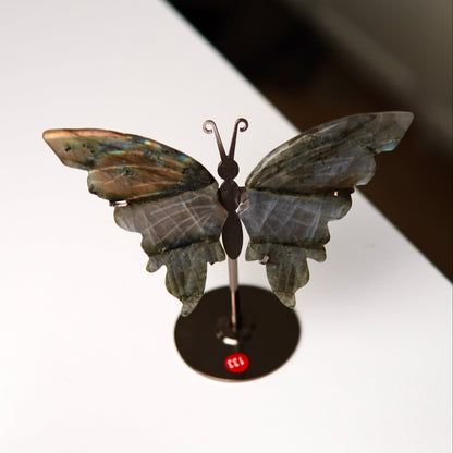 Schmetterling Labradorit