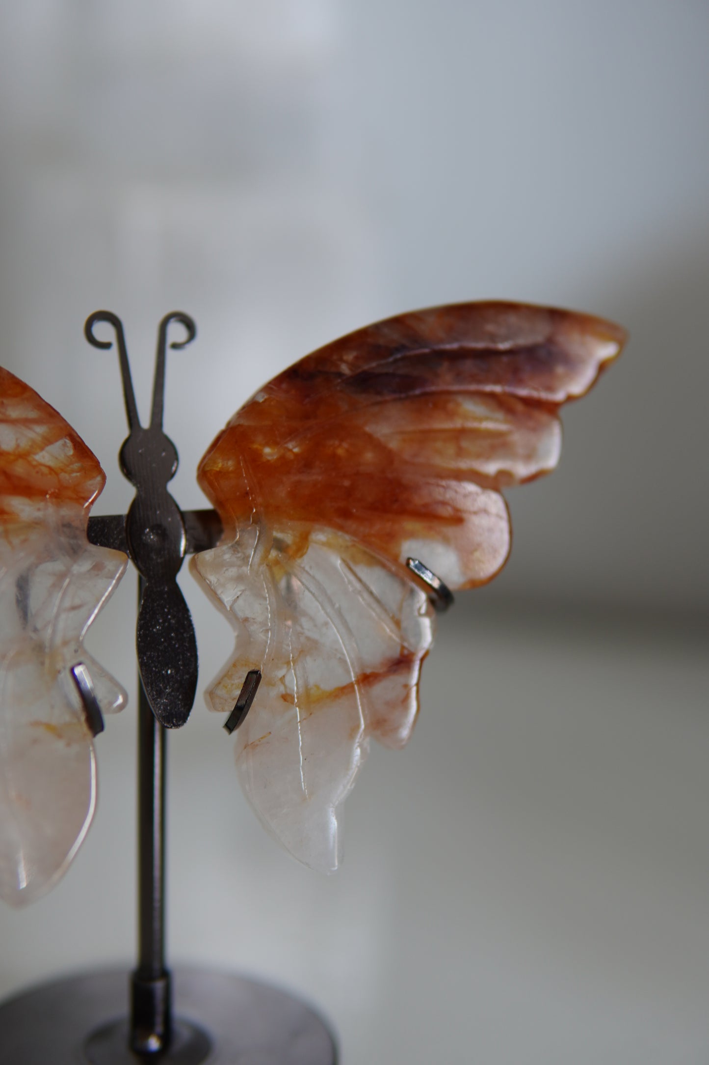 Schmetterling Schnitzerei