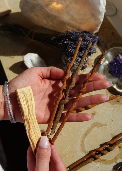 Handgemachte Räucherstäbchen-Set mit 9 Stäbchen und einem Palo-Santo-Holz, in der Hand angeordnet.